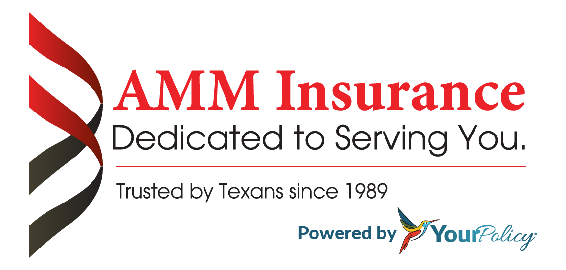 AMM Insurance logo