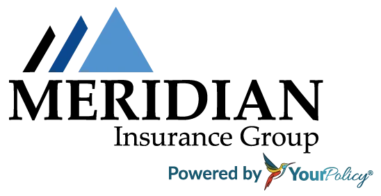 Meridian Insurance Group logo