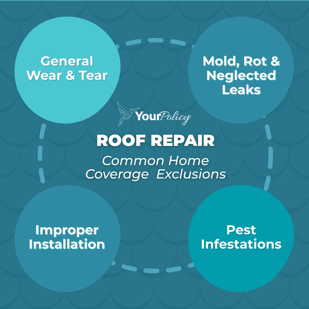 Infographic   general home insurance exclusions for roof repair